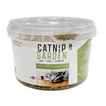 Multipet Catnip Garden Catnip Cup-product-tile