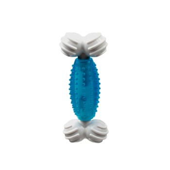 Multipet Canine Clean Peppermint Bone Dog Toy-product-tile