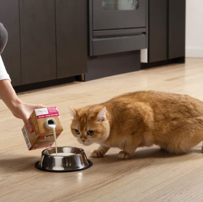 14828 product detail number 1.0