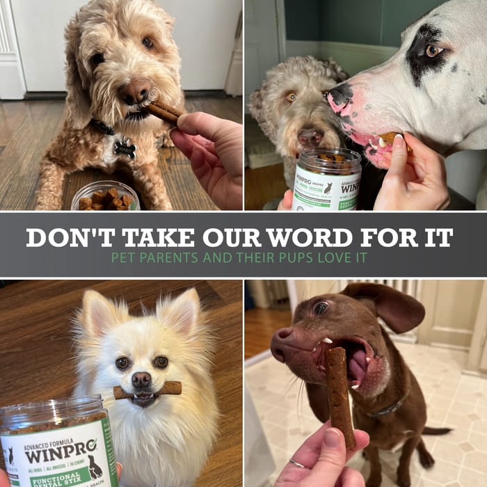 15026 product detail number 1.0