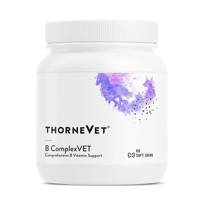ThorneVET B ComplexVET Soft Chew Supplement for Dogs and Cats - 60 Count product detail number 1.0