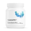 ThorneVET Canine Geriatric Basics Soft Chew Supplement for Dogs - 90 Count