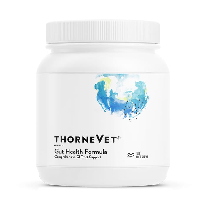 ThorneVET Gut Health Formula Soft Chew Supplement for Dogs and Cats - 180 Count product detail number 1.0