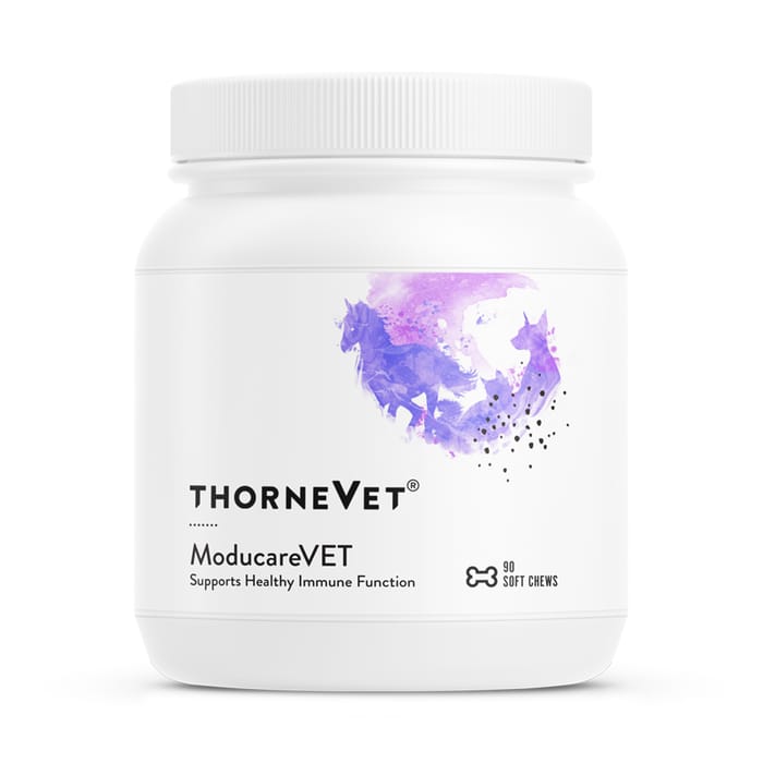 ThorneVET ModucareVET Immune Support Soft Chew Supplement for Dogs and Cats - 90 Count product detail number 1.0