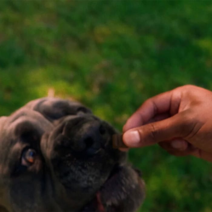 15054 product detail number 1.0