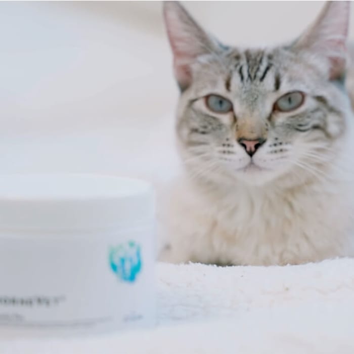 15056 product detail number 1.0