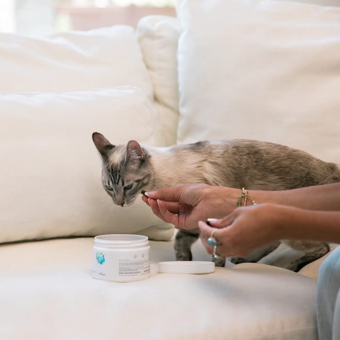 15056 product detail number 1.0