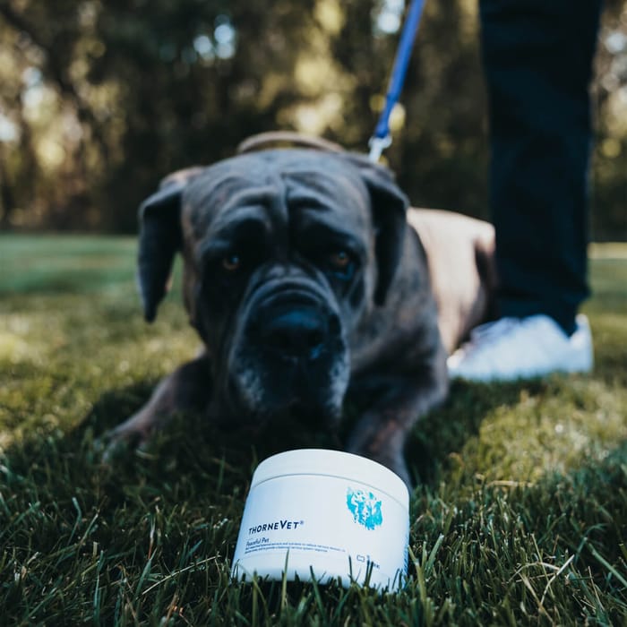 15058 product detail number 1.0