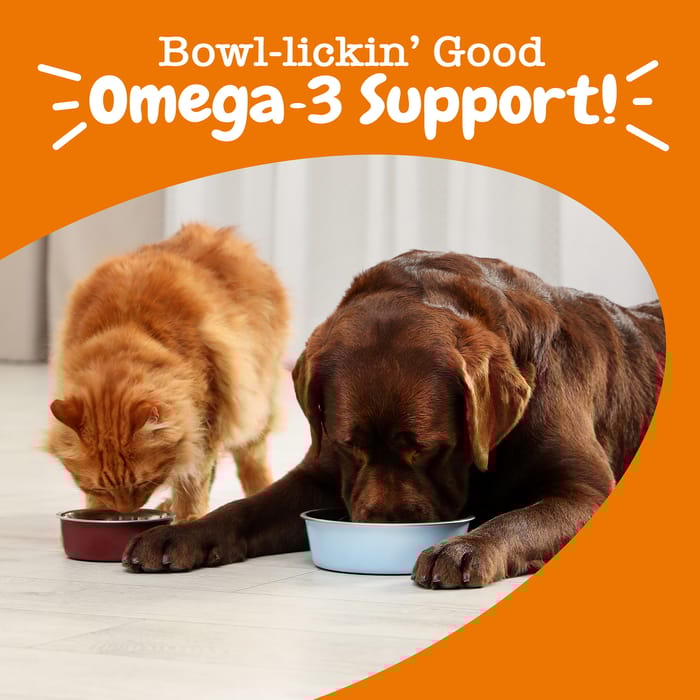 15062 product detail number 1.0