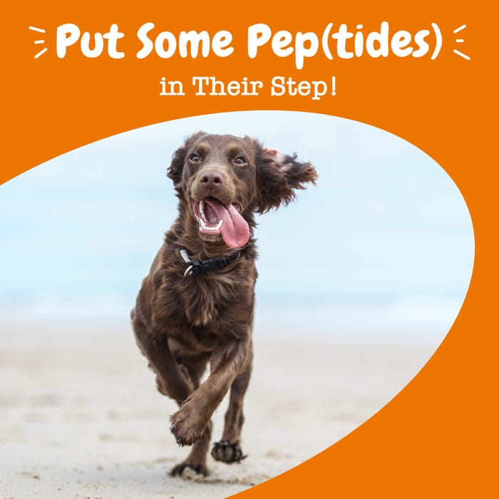 15072 product detail number 1.0