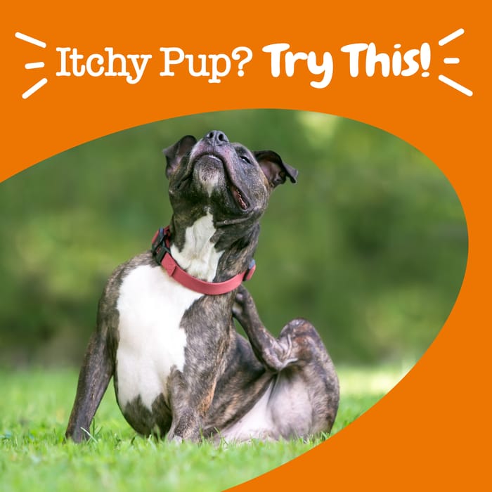 15073 product detail number 1.0