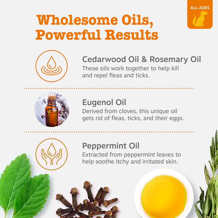 15074 product detail number 1.0