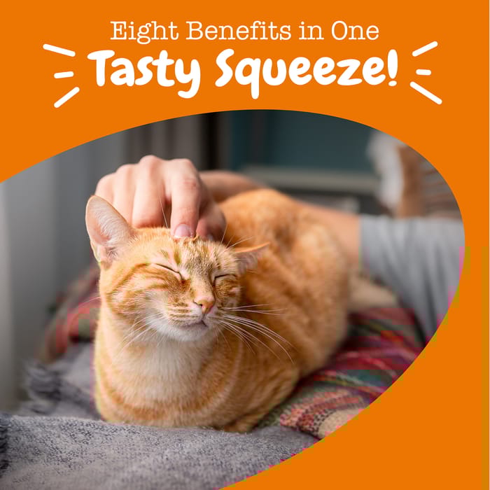 15080 product detail number 1.0