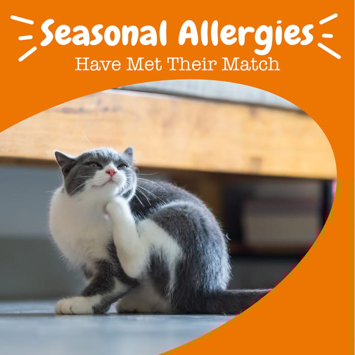 15082 product detail number 1.0