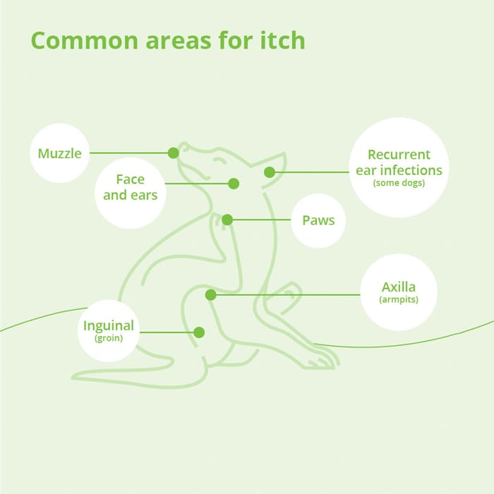 15089 product detail number 1.0