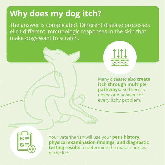 15089 product detail number 1.0