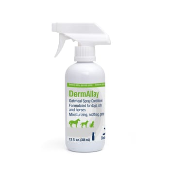 DermAllay Oatmeal Spray Conditioner for Dogs, Cats, & Horses - 12 oz Bottle-product-tile
