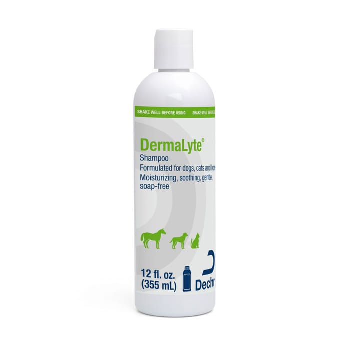DermaLyte Shampoo for Dogs, Cats, & Horses - 12 oz Bottle product detail number 1.0
