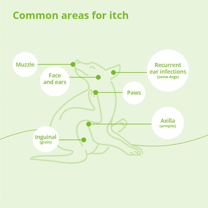 15091 product detail number 1.0