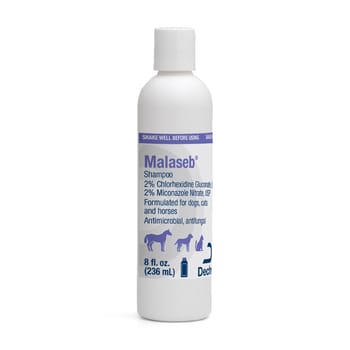 Malaseb Shampoo for Dogs, Cats, & Horses - 8 oz Bottle-product-tile