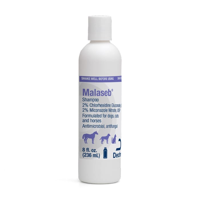 Malaseb Shampoo for Dogs, Cats, & Horses - 8 oz Bottle product detail number 1.0