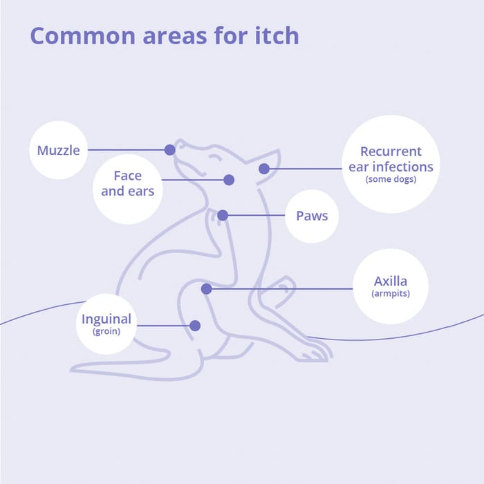 15092 product detail number 1.0