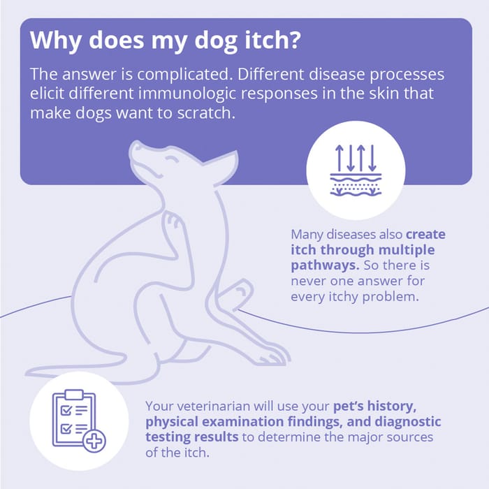 15092 product detail number 1.0