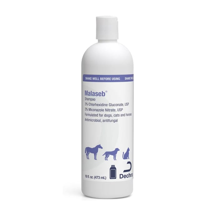 Malaseb Shampoo for Dogs, Cats, & Horses - 12 oz Bottle product detail number 1.0
