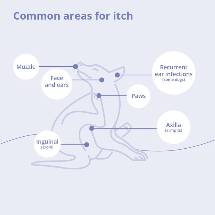 15094 product detail number 1.0