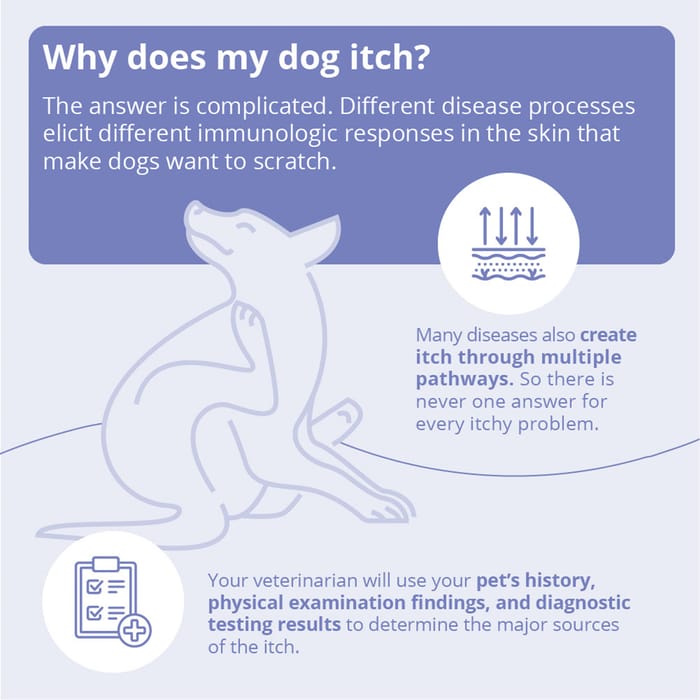 15094 product detail number 1.0