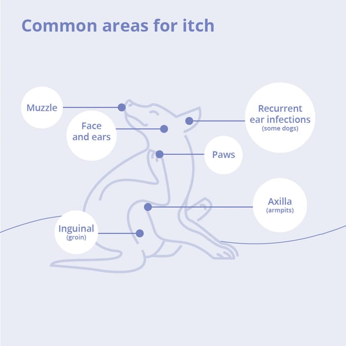 15098 product detail number 1.0