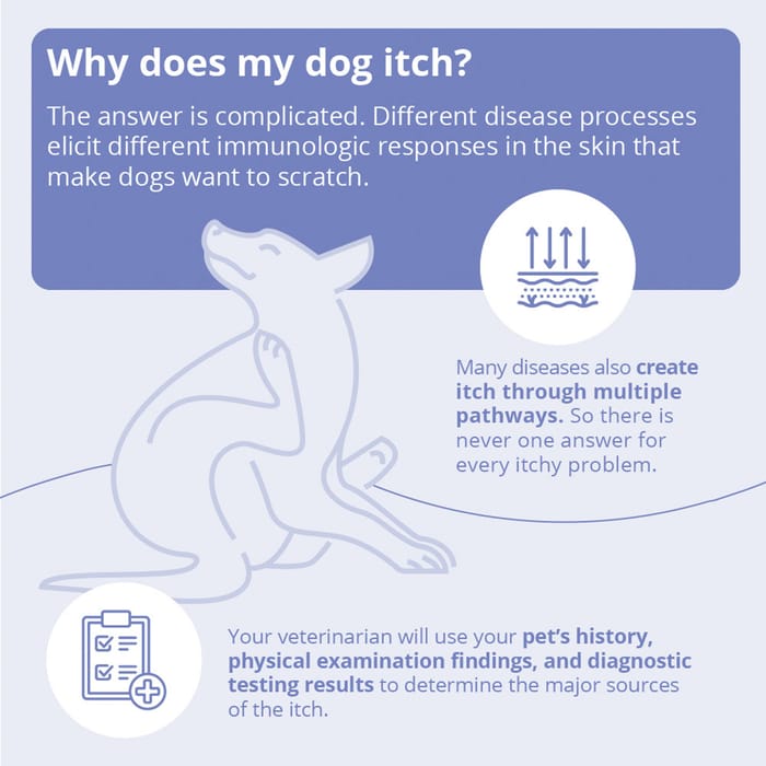 15098 product detail number 1.0