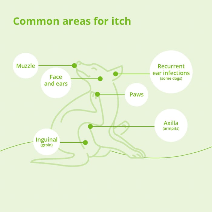 15099 product detail number 1.0