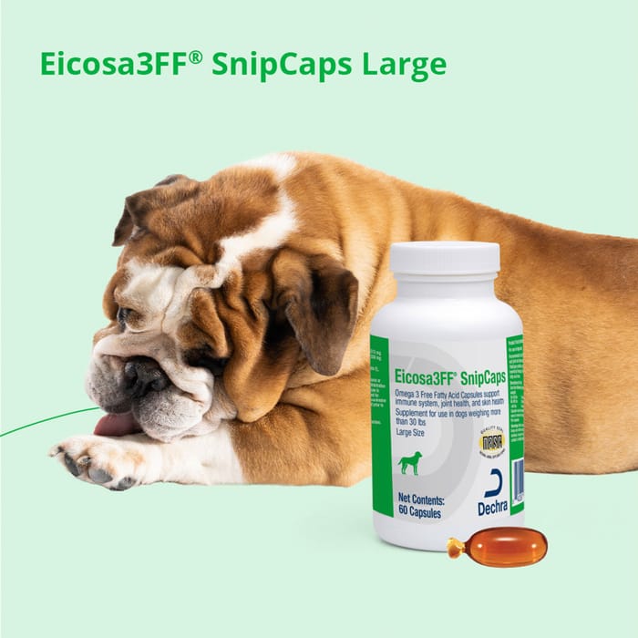 15101 product detail number 1.0