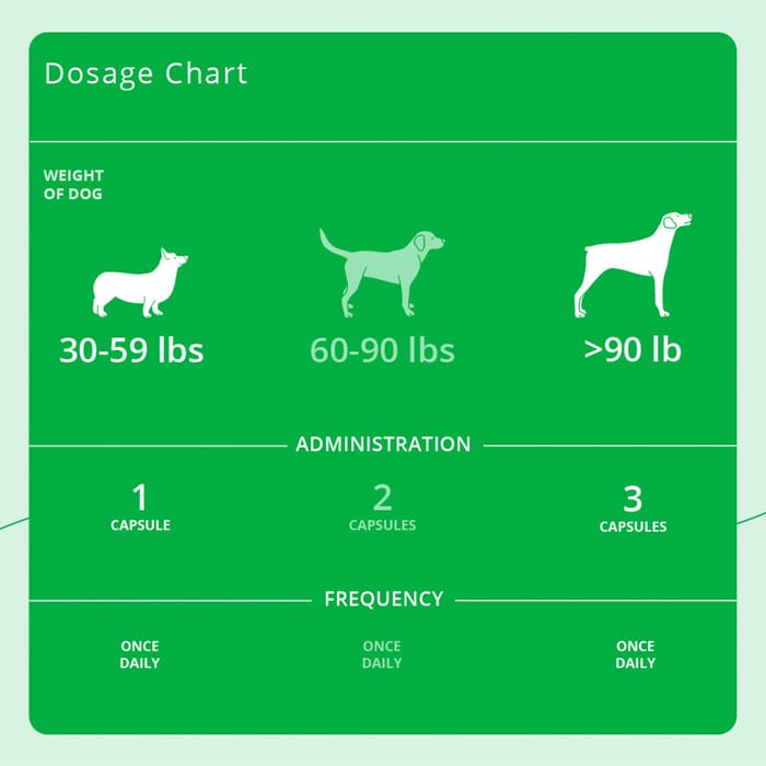 15101 product detail number 1.0