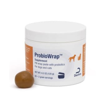 ProbioWrap Pill Wrap Paste with Probiotics for Dogs & Cats - 4.2 oz Jar-product-tile