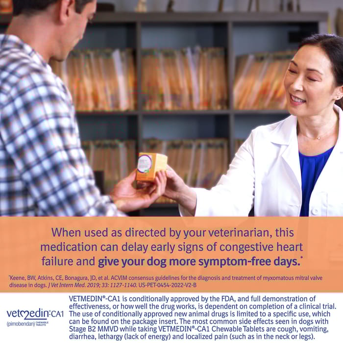 13012 product detail number 1.0