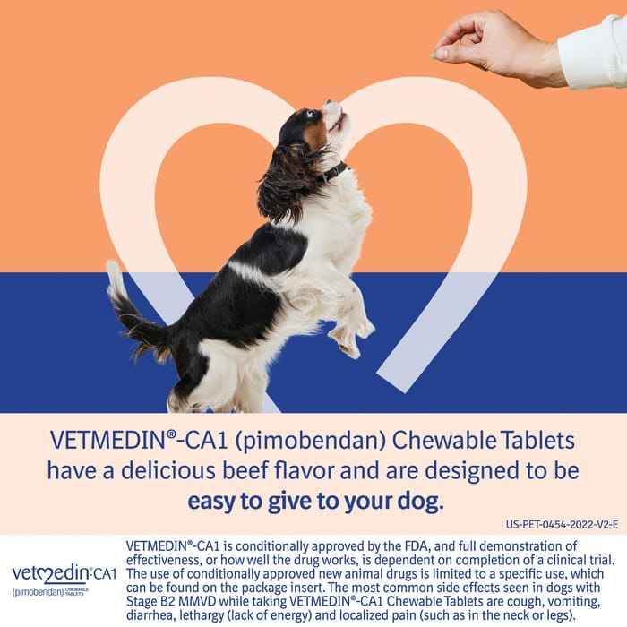 13012 product detail number 1.0