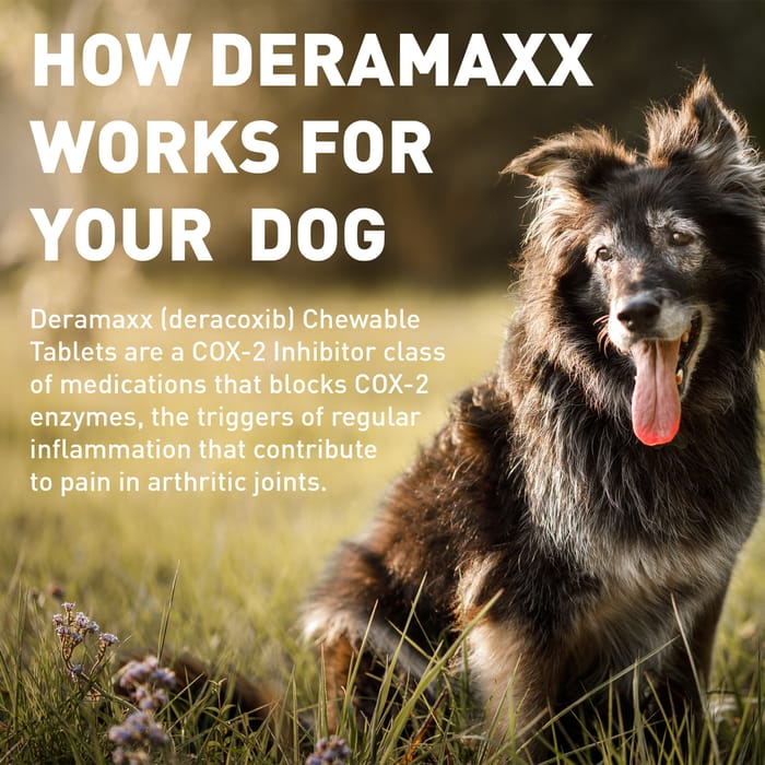 11960 product detail number 1.0