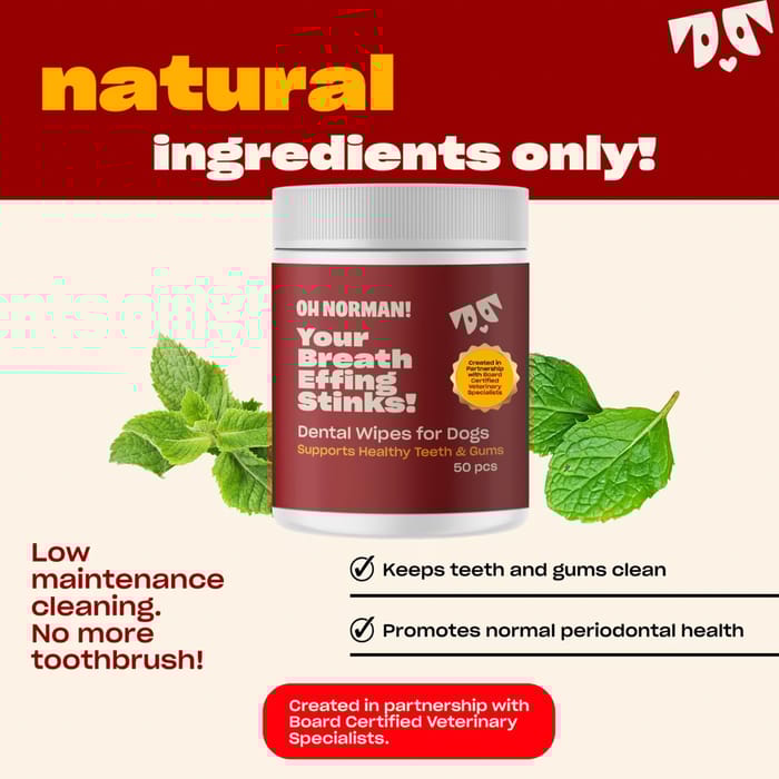 15249 product detail number 1.0