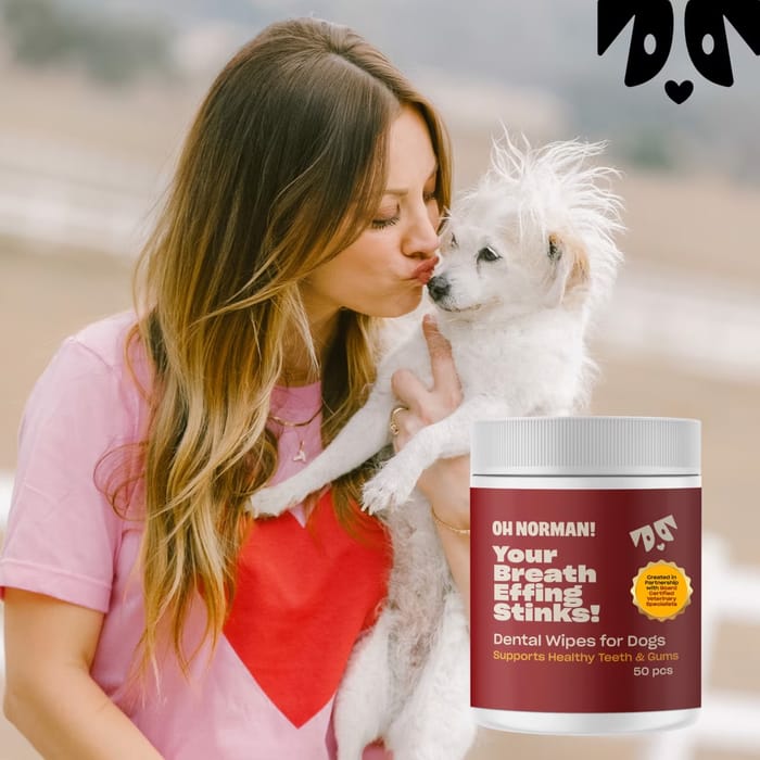 15249 product detail number 1.0