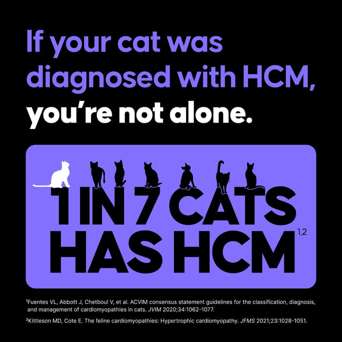 15250 product detail number 1.0