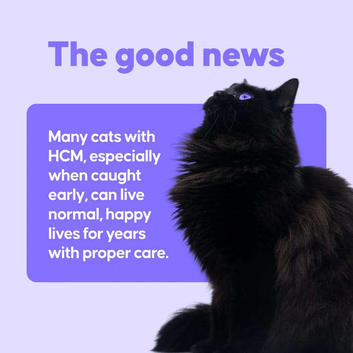 15250 product detail number 1.0