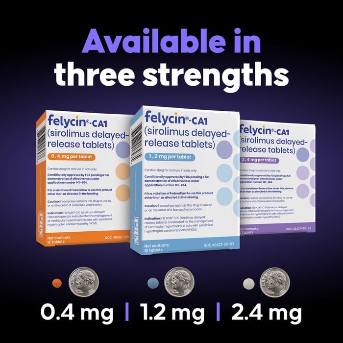 15250 product detail number 1.0