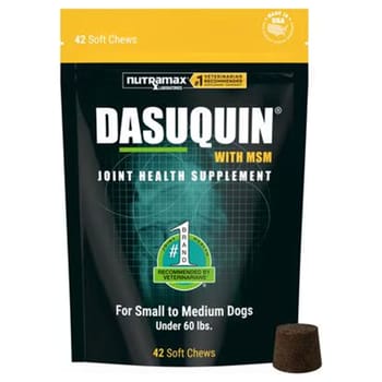 Nutramax Dasuquin with MSM Joint Health Soft Chew Supplement for Small to Medium Dogs - 42 Count-product-tile