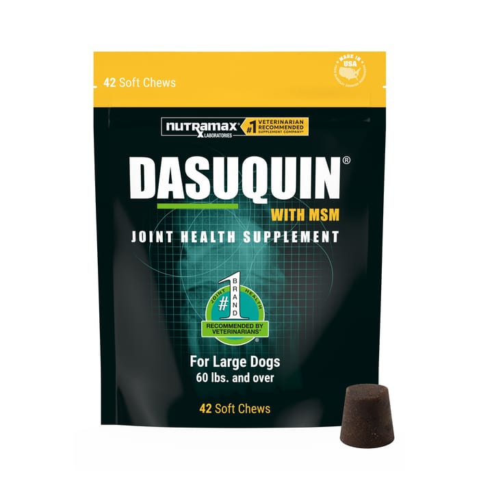 Nutramax Dasuquin with MSM Joint Health Soft Chew Supplement for Large Dogs - 42 Count product detail number 1.0