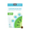 Nutramax Dermaquin Skin Support Soft Chew Supplement for Small to Medium Dogs and Cats - 60 Count