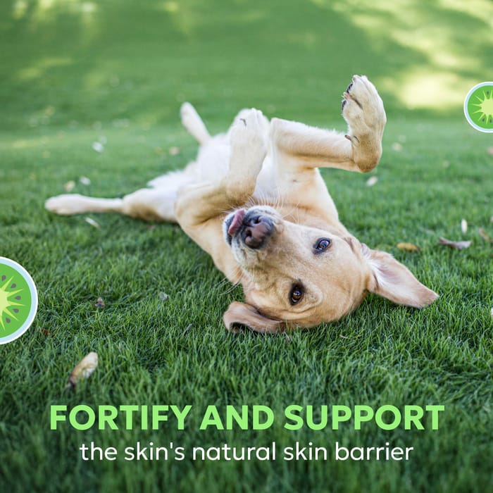 15268 product detail number 1.0