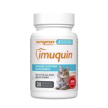 Nutramax Imuquin Immune Support Sprinkle Capsule Supplement for Cats - 30 Count-product-tile