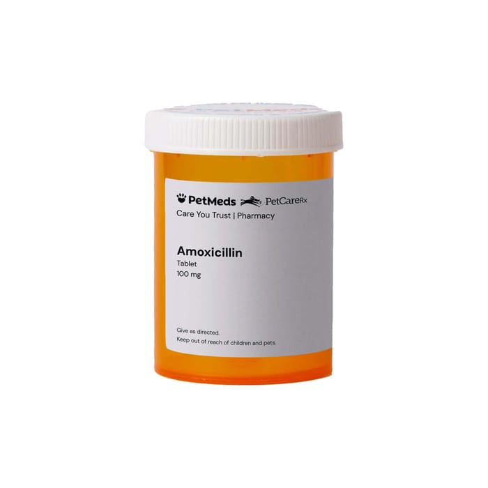 Amoxicillin 100 mg (sold per tablet) product detail number 1.0
